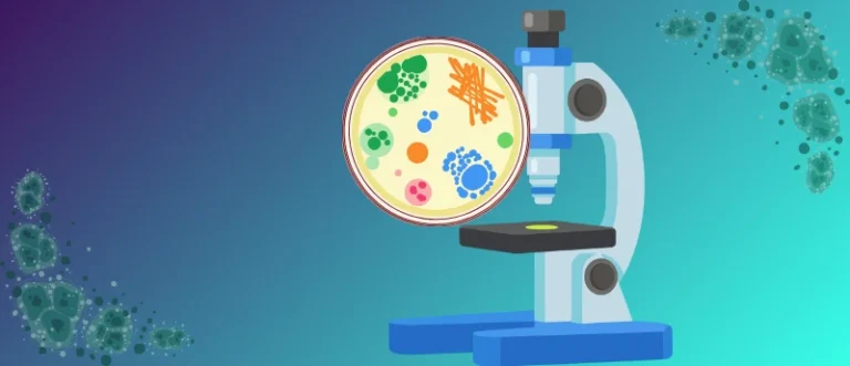a-breakthrough-in-supportive-care-rezafungin-shows-promise-for-preventing-fungal-infections-in-stem-cell-transplant-recipients