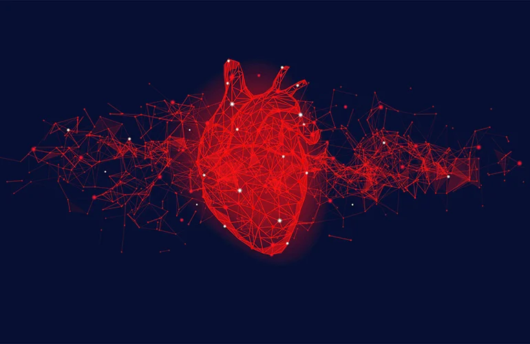 a-decade-of-precision-how-functional-nams-are-transforming-cardiac-safety-assessment
