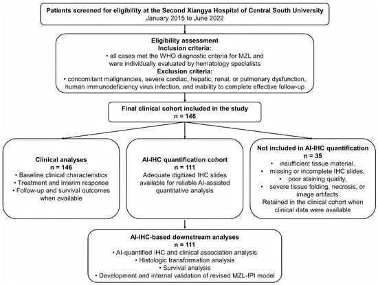 ai-enhanced-precision-a-new-frontier-in-marginal-zone-lymphoma-prognostics