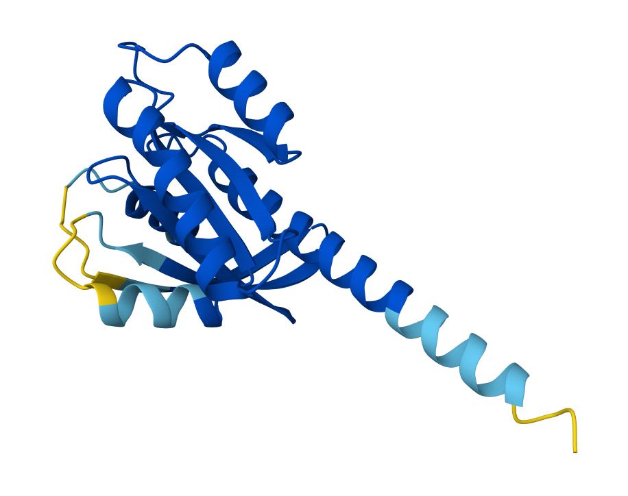 beyond-pd-1-the-seismic-shifts-reshaping-oncology-at-asco-2026