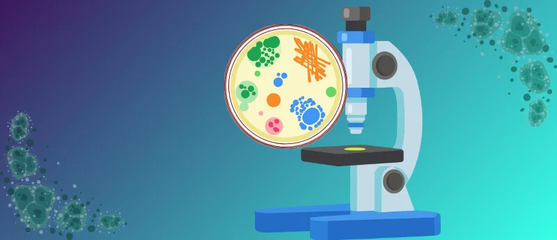 breakthrough-in-fungal-infection-prevention-respect-trial-validates-once-weekly-rezafungin-for-stem-cell-transplant-patients