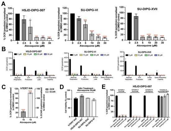 breakthrough-study-reveals-atovaquones-potential-to-enhance-radiation-therapy-for-pediatric-brain-tumors