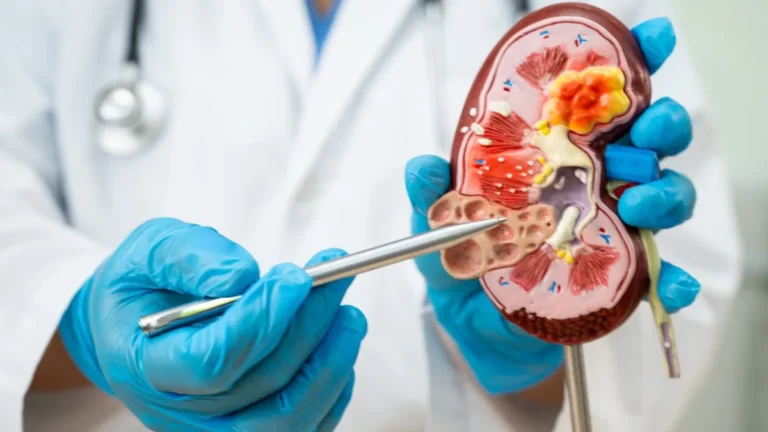 breakthrough-trial-launched-for-iga-nephropathy-jade-biosciences-doses-first-participant-in-juniper-study-of-jade101