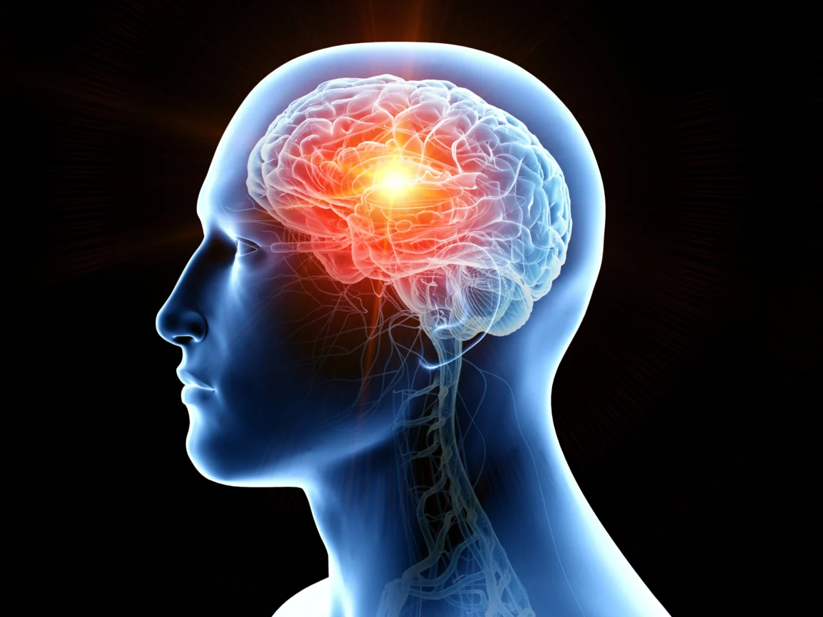 bridging-the-gap-innovative-immune-therapies-for-tbi-and-alzheimers-disease