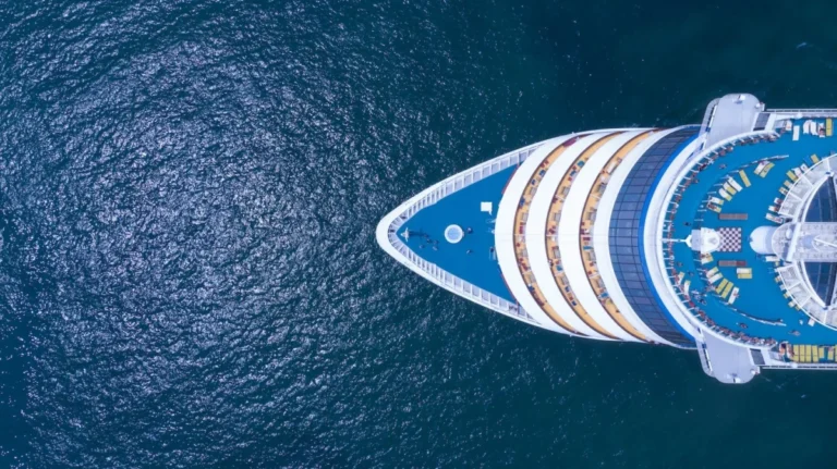 cruise-ship-hantavirus-outbreak-highlights-critical-gaps-in-zoonotic-and-environmental-disease-prevention