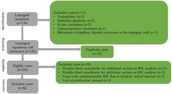 decoding-the-immune-landscape-of-laryngeal-cancer-a-new-path-toward-precision-prognosis