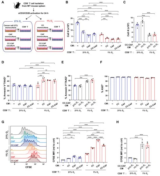 hypoxia-fuels-t-cell-dysfunction-in-pancreatic-cancer-hindering-immunotherapy-efficacy