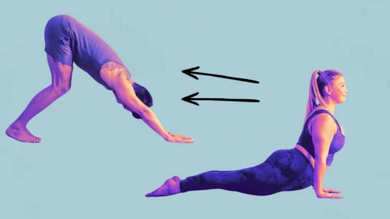 mastering-the-flow-rethinking-the-transition-from-upward-to-downward-facing-dog