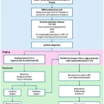 navigating-the-complexities-of-primary-cutaneous-anaplastic-large-cell-lymphoma-pcalcl-a-comprehensive-clinical-overview