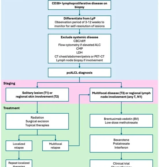 navigating-the-complexities-of-primary-cutaneous-anaplastic-large-cell-lymphoma-pcalcl-a-comprehensive-clinical-overview