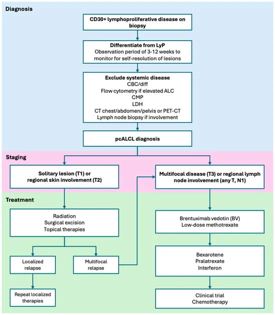 navigating-the-complexities-of-primary-cutaneous-anaplastic-large-cell-lymphoma-pcalcl-a-comprehensive-clinical-overview