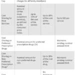new-federal-mandates-the-2025-reconciliation-law-and-the-future-of-medicaid-cost-sharing