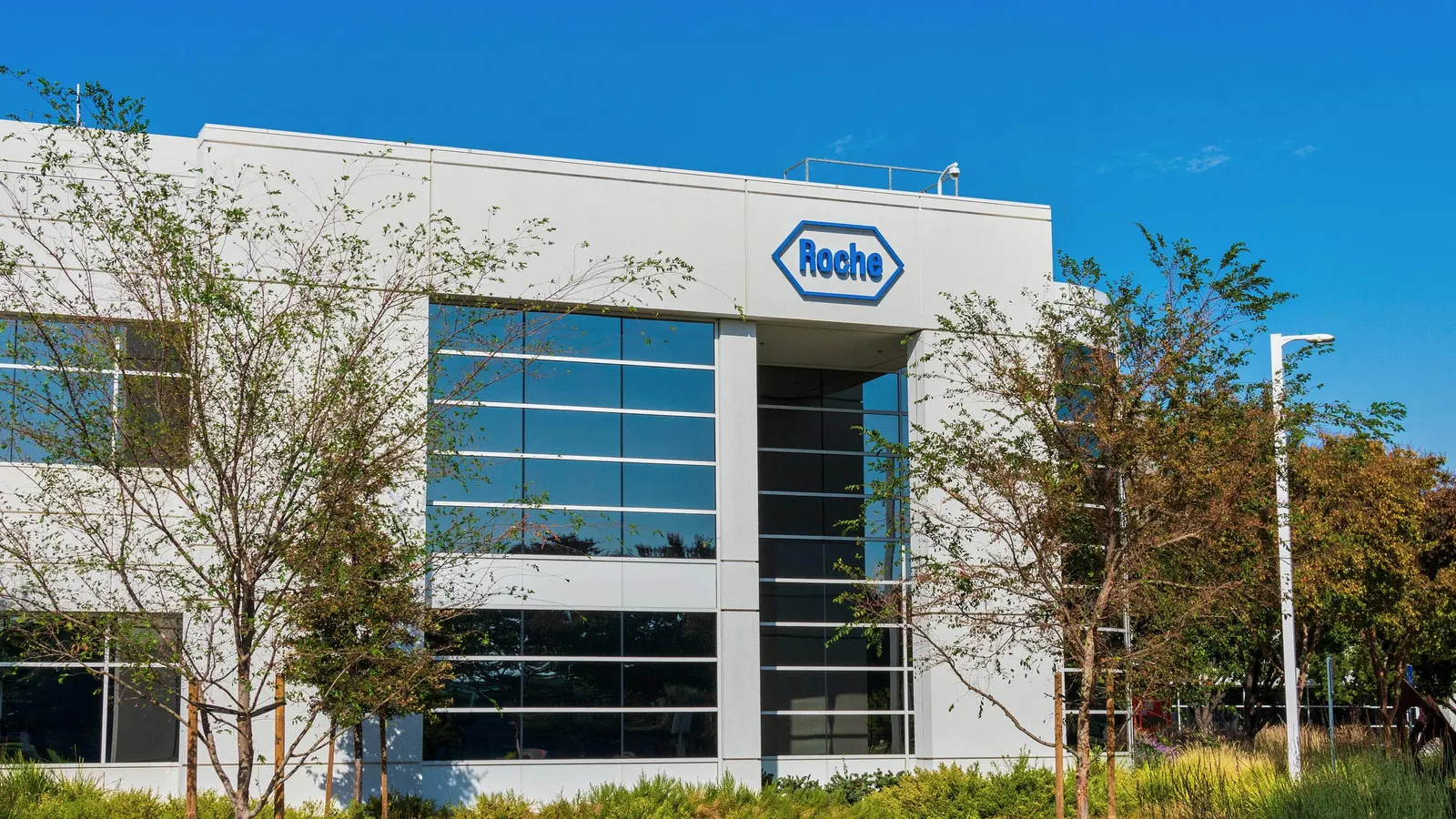 roches-strategic-acquisition-of-pathai-a-new-era-for-ai-driven-digital-pathology