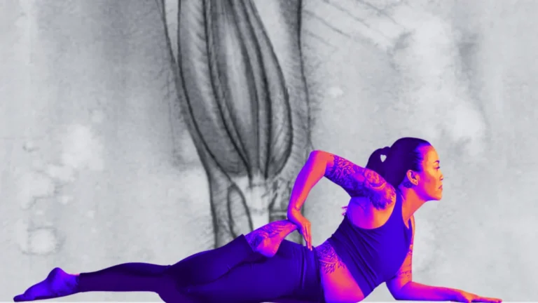 the-anatomy-of-balance-why-your-quadriceps-need-both-strength-and-lengthening