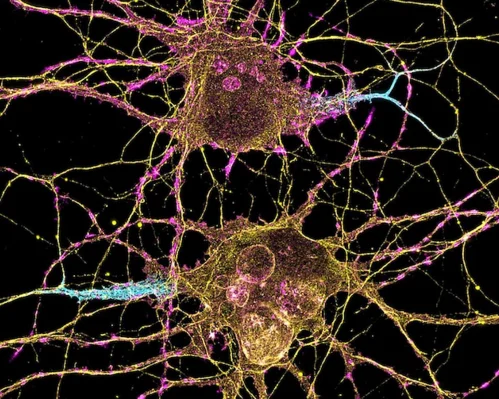 the-architecture-of-modern-medicine-how-the-broad-institute-is-rewriting-the-human-genetic-code-1