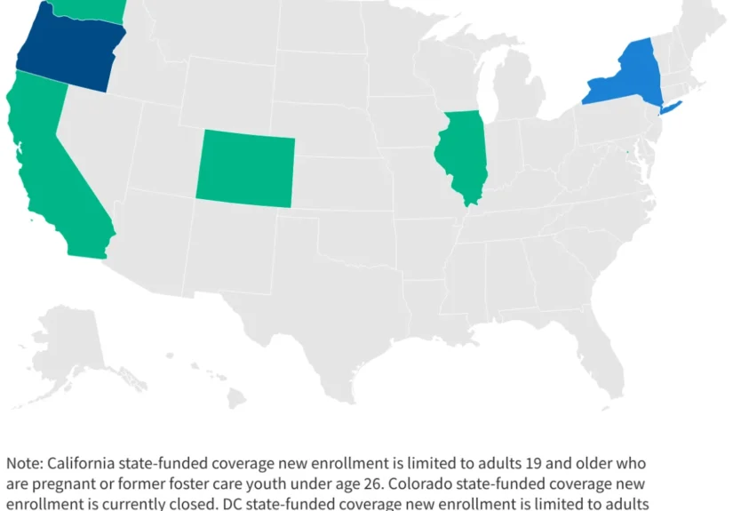 the-fragile-safety-net-navigating-the-shifting-landscape-of-immigrant-health-coverage-in-2026