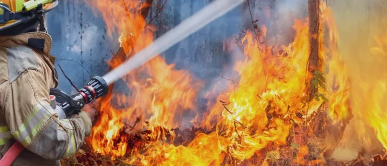 the-invisible-threat-new-research-links-wildfire-smoke-to-increased-cancer-risk