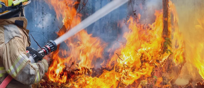 the-invisible-threat-new-research-links-wildfire-smoke-to-increased-cancer-risk