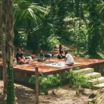 the-new-pilgrimage-why-mexico-is-redefining-the-global-wellness-landscape
