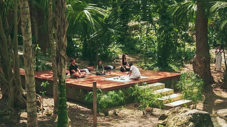the-new-pilgrimage-why-mexico-is-redefining-the-global-wellness-landscape