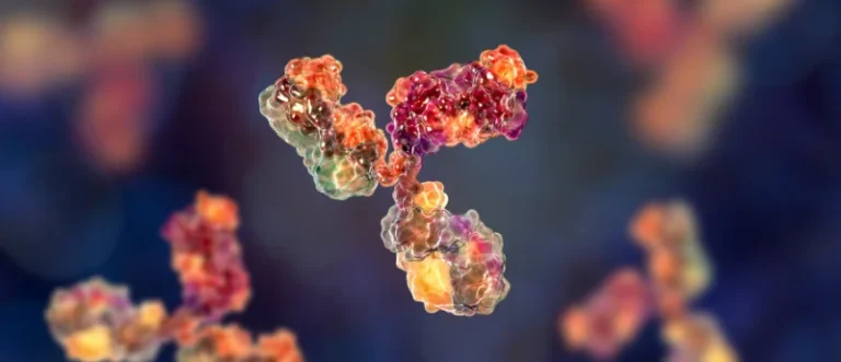 the-precision-revolution-decoding-the-rise-of-antibody-drug-conjugates-in-modern-oncology