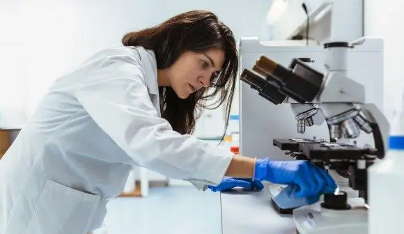 the-vanguard-of-oncology-how-the-breast-cancer-research-foundation-is-engineering-a-future-without-the-disease