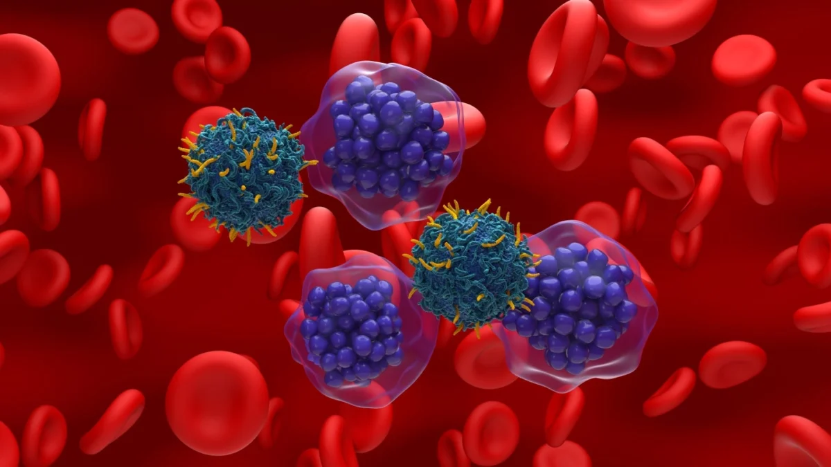 a-new-frontier-in-t-cell-leukemia-treatment-nanobody-car-t-therapy-shows-promise-amidst-challenges