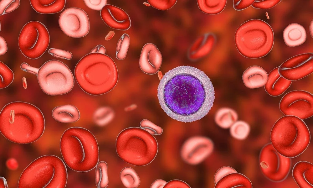 avencell-therapeutics-unveils-promising-early-data-for-switchable-allogeneic-car-t-therapy-in-relapsed-refractory-aml-at-eha-2026
