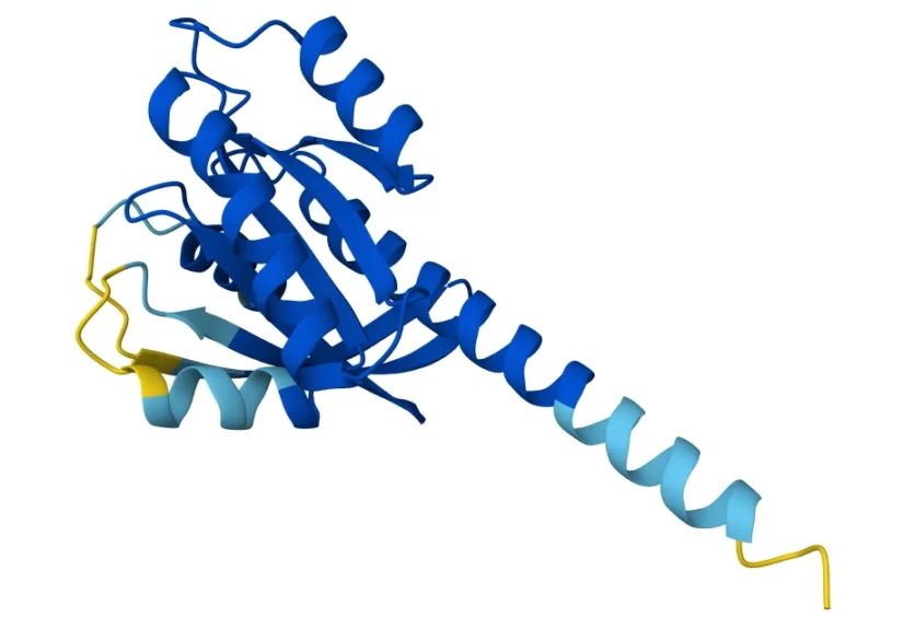 beyond-the-pd-1-era-the-high-stakes-evolution-of-oncology-at-asco-2026
