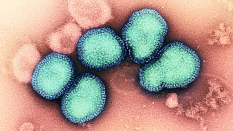 biotech-startup-rq-bio-secures-115-million-to-revolutionize-seasonal-influenza-prevention