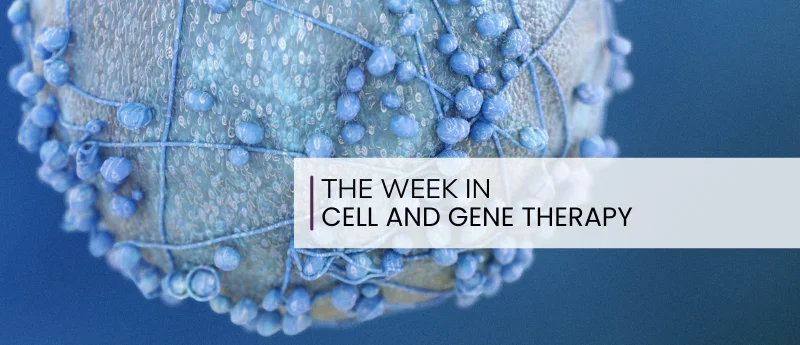 breakthroughs-in-precision-oncology-the-evolution-of-tcr-modified-cell-therapies-for-solid-tumors