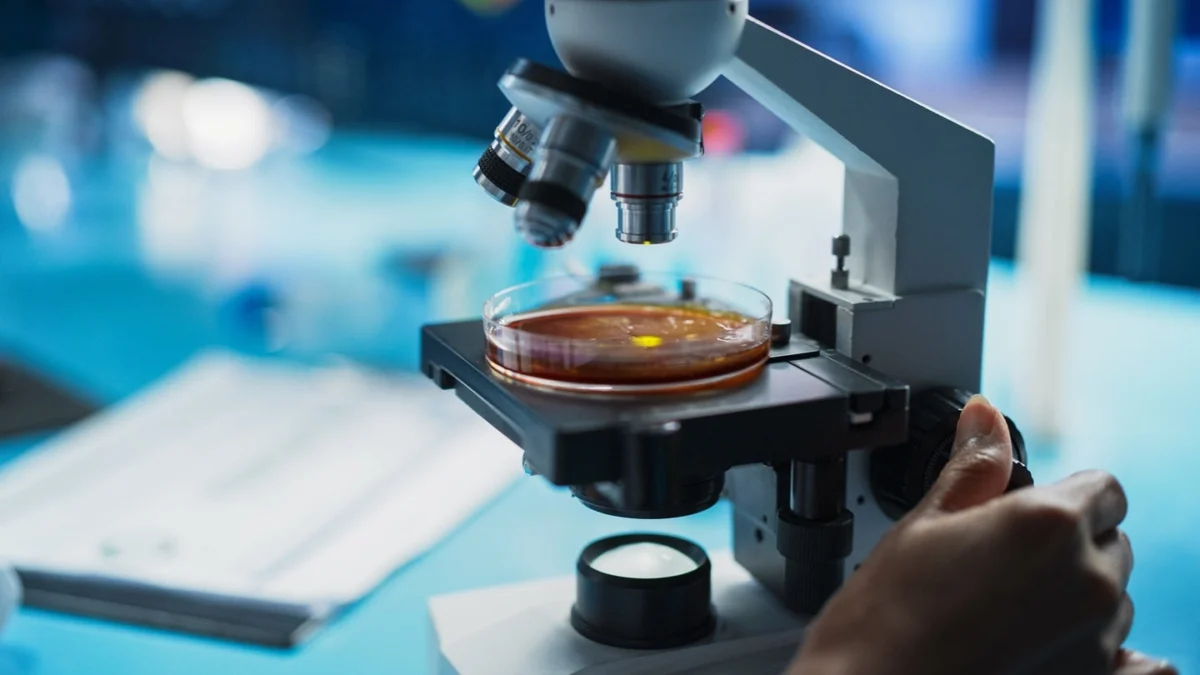 combatting-the-silent-pandemic-the-trace-cpe-study-and-the-future-of-antimicrobial-resistance-diagnostics