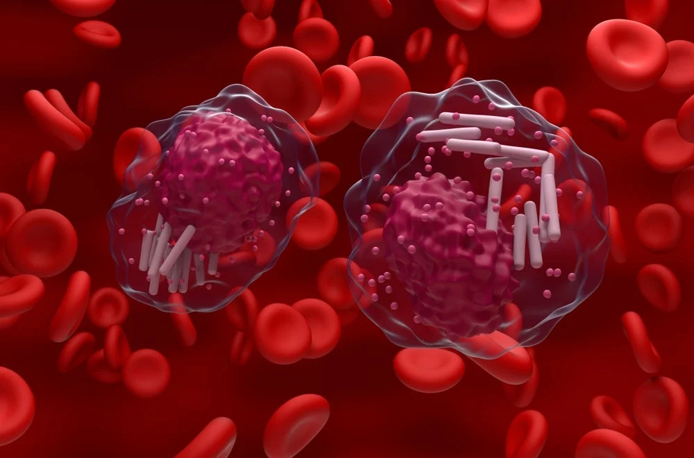 eha-2026-promising-new-avenues-emerge-for-chronic-lymphocytic-leukemia-and-small-lymphocytic-lymphoma-treatment