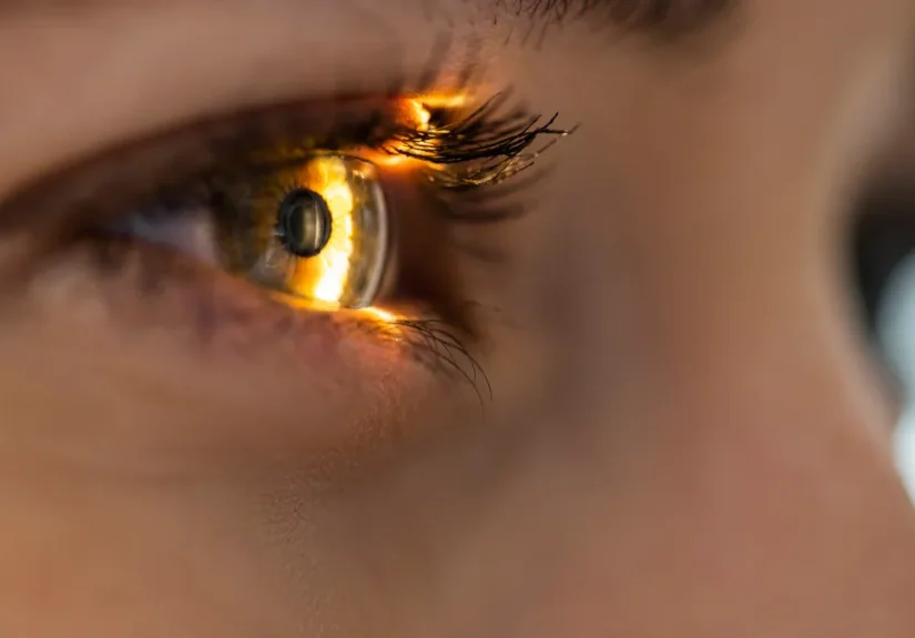 ethyreal-bio-emerges-from-stealth-with-101-million-to-tackle-graves-disease-and-thyroid-eye-disease