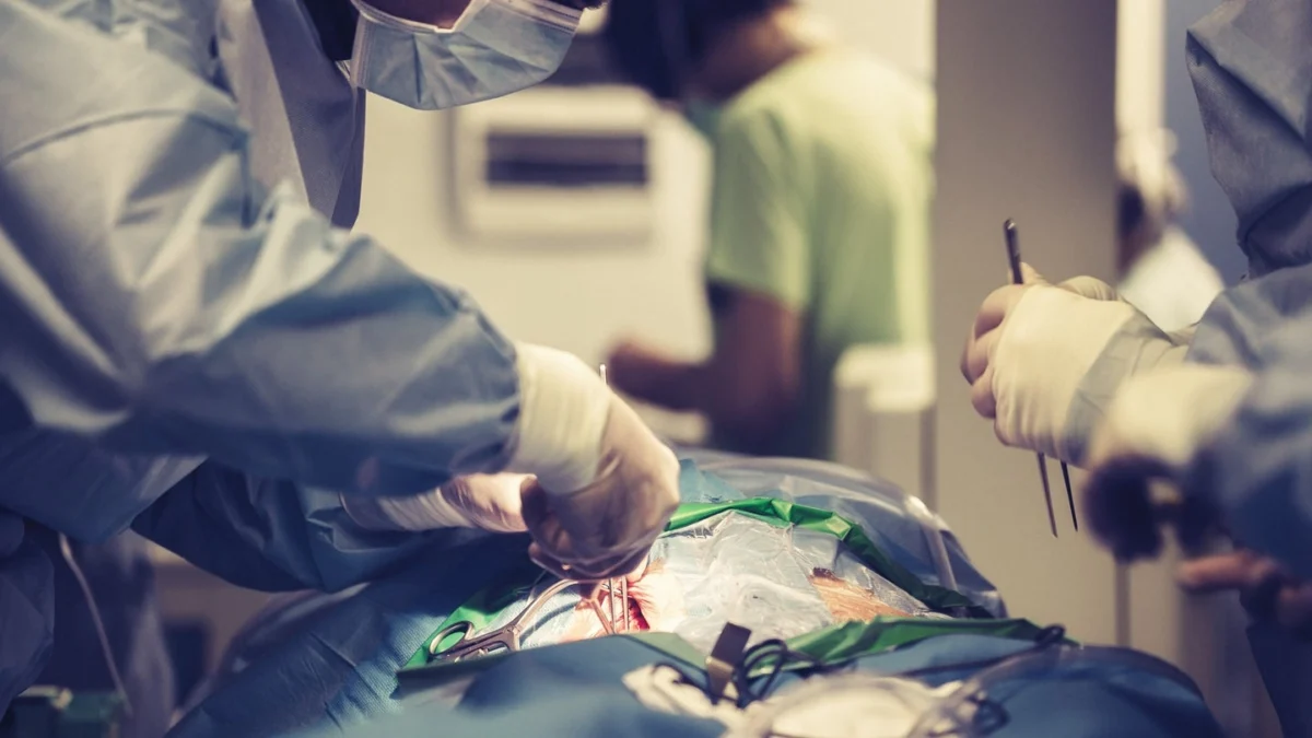 fda-grants-full-premarket-approval-to-artivions-amds-hybrid-prosthesis-a-new-era-for-aortic-dissection-treatment