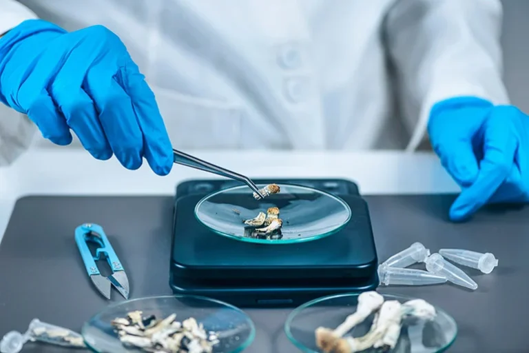 insuring-the-trip-navigating-the-liability-landscape-for-fda-approved-psilocybin