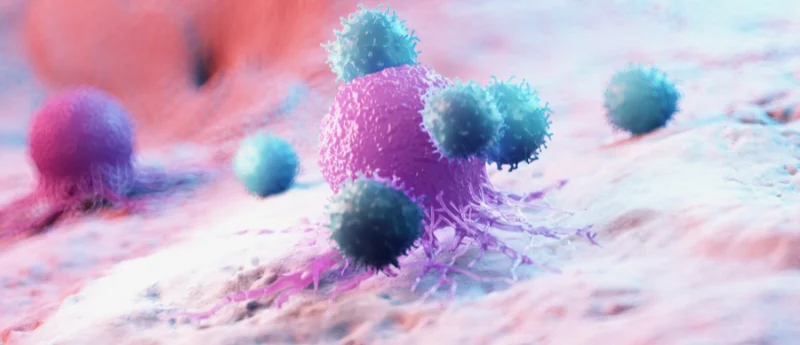 redefining-treatment-for-high-risk-biochemically-recurrent-prostate-cancer-insights-from-the-embark-trial