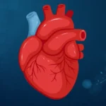 silent-signals-could-heart-mri-scans-predict-future-cancer-risk