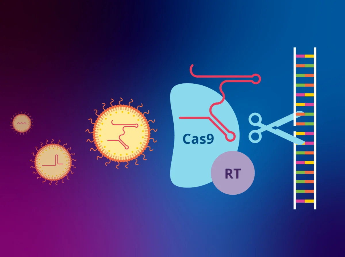 the-dawn-of-in-vivo-precision-how-new-advances-are-paving-the-way-for-prime-editing-therapeutics