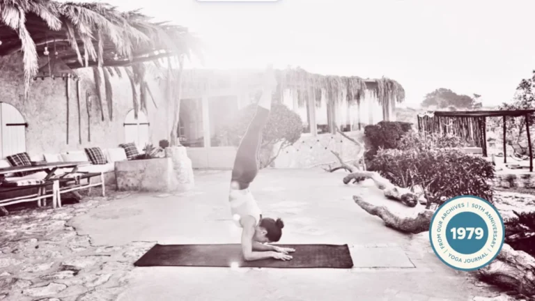 the-feathered-peacock-rediscovering-the-architecture-and-philosophy-of-pincha-mayurasana