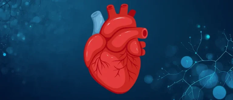 the-heart-cancer-connection-could-mri-scans-predict-future-oncology-risks