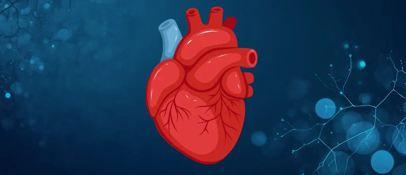 the-heart-cancer-connection-could-mri-scans-predict-future-oncology-risks