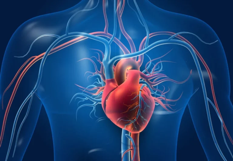 transforming-cardiac-care-veritas-aortic-solutions-secures-12m-to-revolutionize-aortic-root-surgery