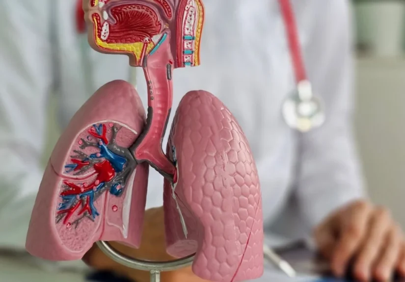 median-technologies-secures-ce-marking-for-ai-driven-lung-cancer-detection-software-eyonis-lcs