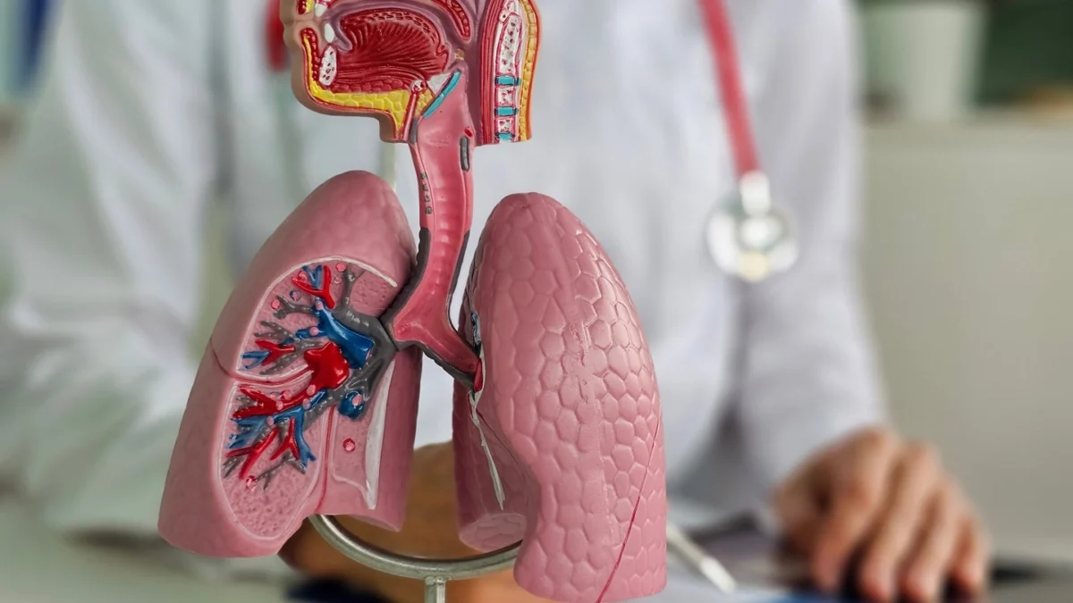 median-technologies-secures-ce-marking-for-ai-driven-lung-cancer-detection-software-eyonis-lcs