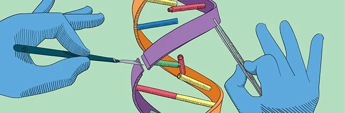 a-new-dawn-for-genetic-medicine-casgevy-becomes-available-on-the-nhs