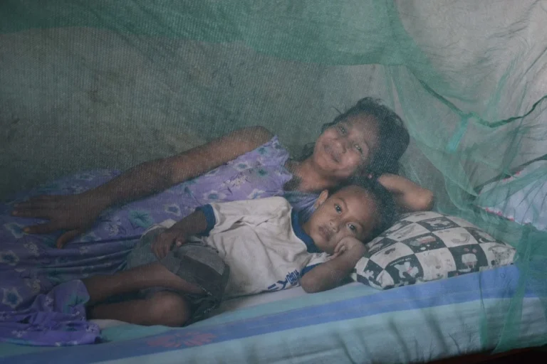 a-triumph-of-public-health-timor-leste-achieves-malaria-free-status
