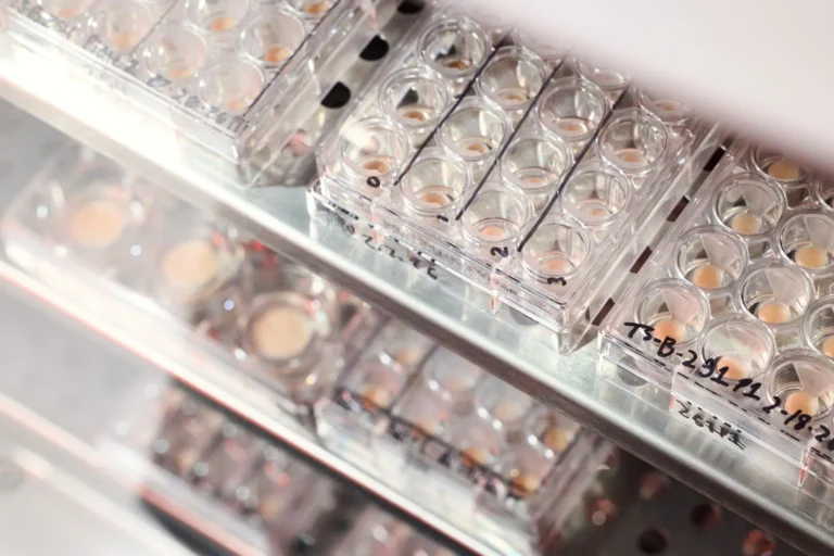 beyond-the-bench-how-outer-bio-is-rewriting-the-rules-of-skin-science-and-data-discovery