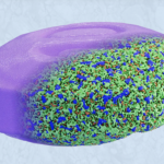 beyond-the-try-test-and-repeat-cycle-how-microstructure-intelligence-is-revolutionizing-drug-development