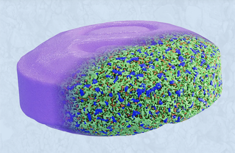 beyond-the-try-test-and-repeat-cycle-how-microstructure-intelligence-is-revolutionizing-drug-development